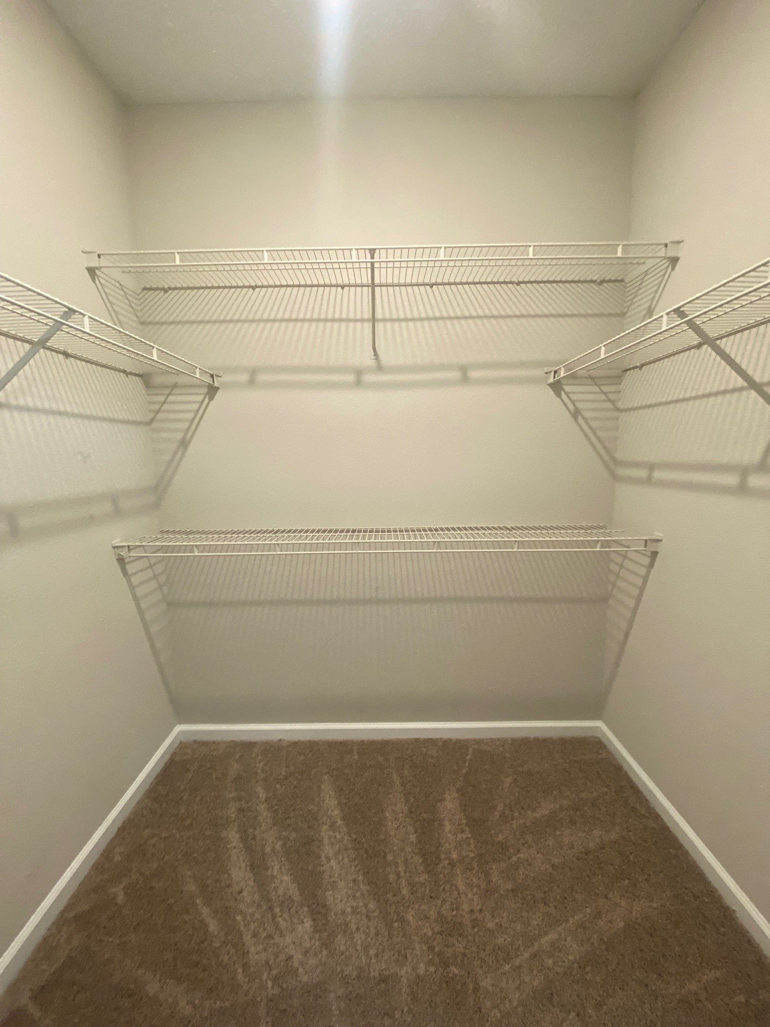 Gallery Photo 15